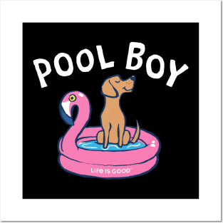 Pool Boy Posters and Art